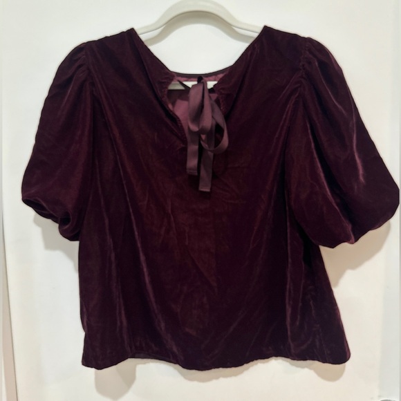 GAP Deep Burgundy Velvet Blouse - Picture 2 of 3